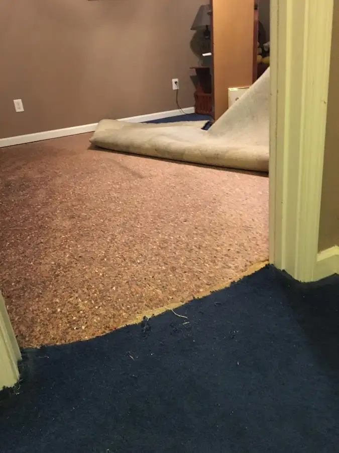 Carpet pad removal revealing water damage during Water Mitigation Services in Port Chester