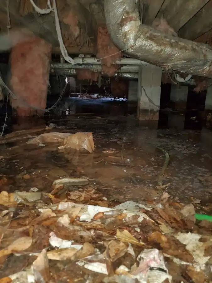 Crawl space flood assessment for Commercial Water Damage Restoration in Port Chester