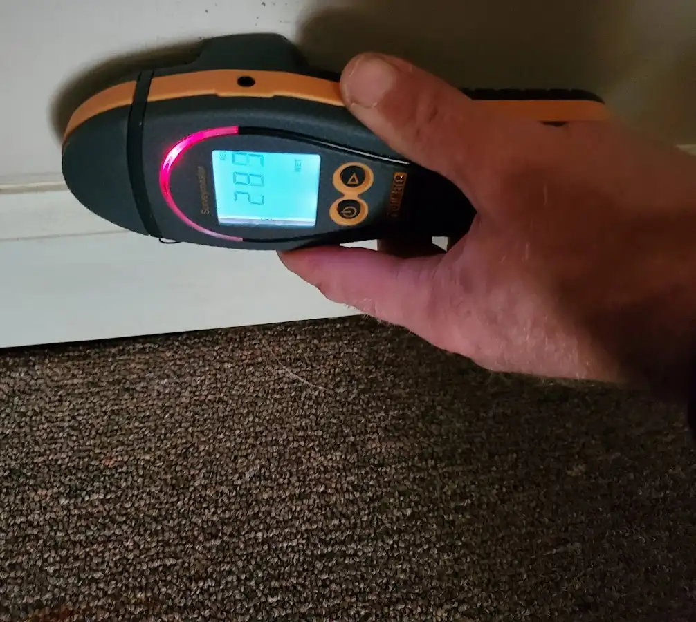 Moisture detection at baseboard during Sewage Cleanup & Sanitation in Port Chester